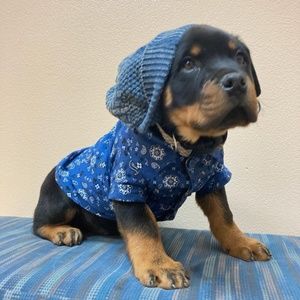 Meet your Posher, Krista